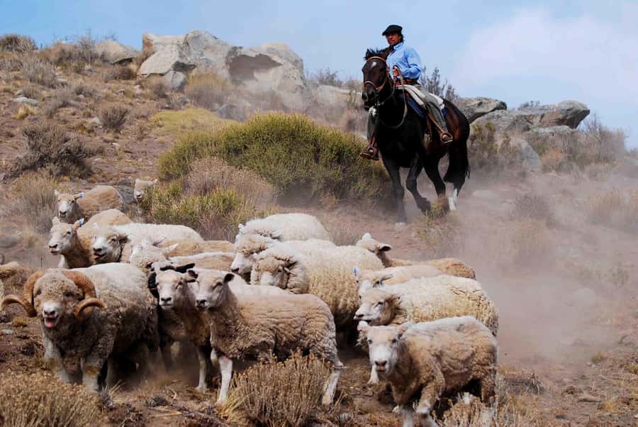 25 DE MAYO FARM - What Estancia 25 de Mayo Actually Offers
