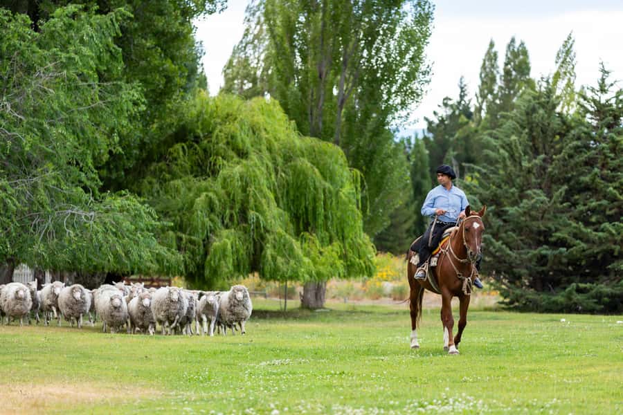 25 DE MAYO FARM - Folk Music with a Participatory Twist