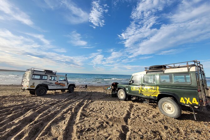 3 hour 4x4 tour around Puerto Madryn - Punta Este starts the adventure with sand and sea