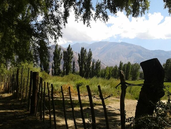 Andes Day Trip from Mendoza Including Aconcagua, Uspallata and Puente del Inca - From Mendoza vineyards to the high Andes