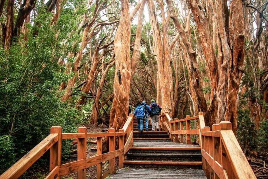 Bariloche: Arrayanes Forest and Victoria Island Tour - Communication and timing matter