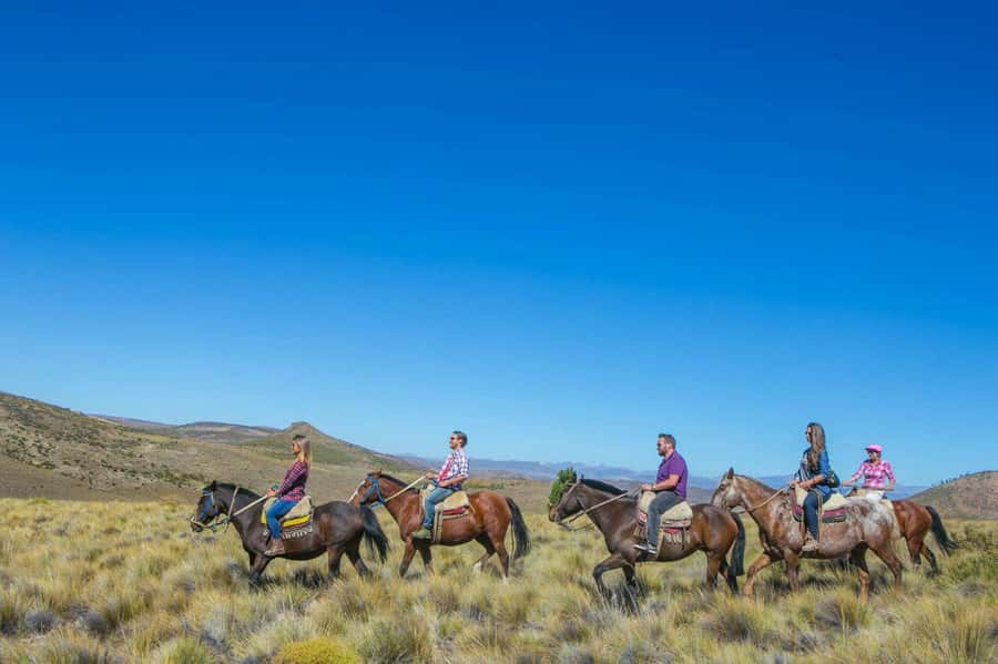 Bariloche: Guided horseback rides in the Patagonian steppe - Key points to know before booking