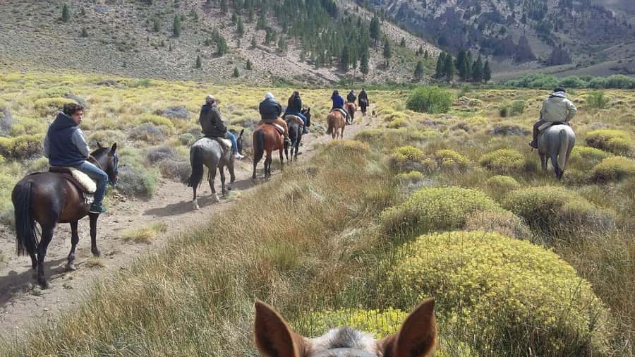 Bariloche: Guided horseback rides in the Patagonian steppe - Two hours across uneven Patagonian ground