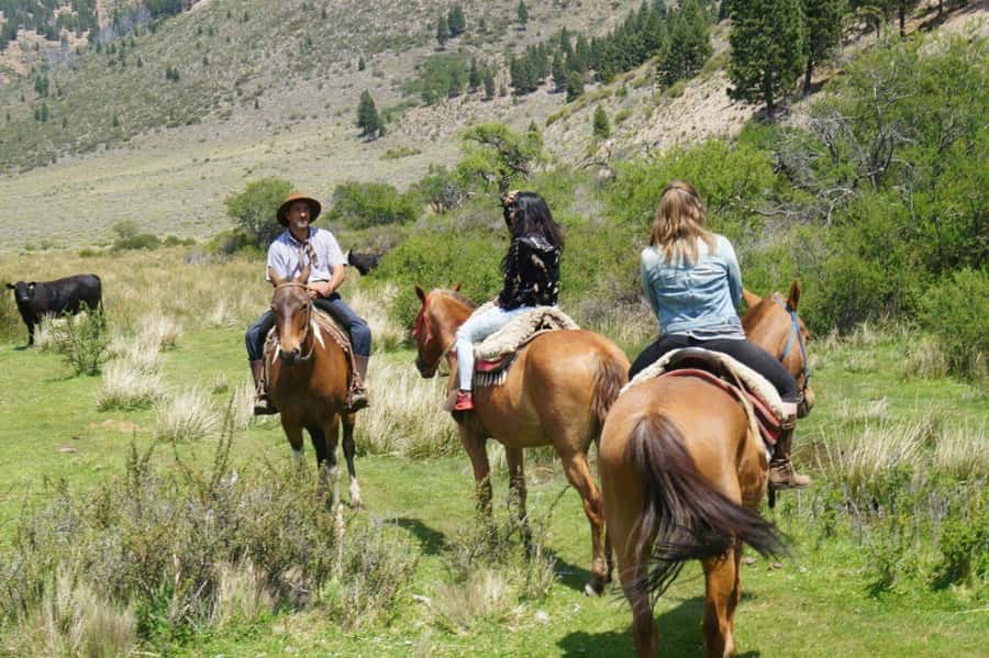 Bariloche: Guided horseback rides in the Patagonian steppe - Breakfast with a lesson about Patagonian nature