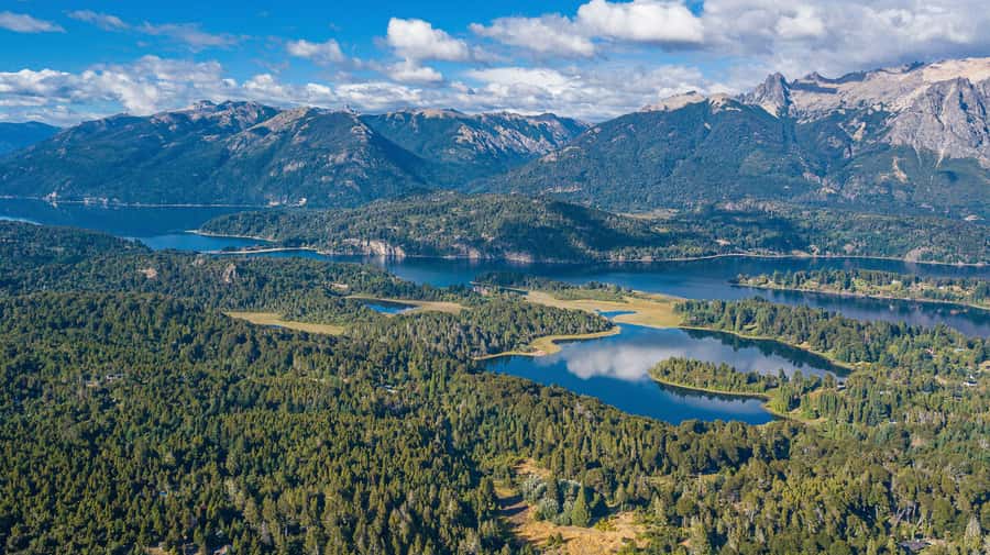 Bariloche: Half-Day Small Circuit Tour with Mount Campanario - Pickup details you should settle before booking