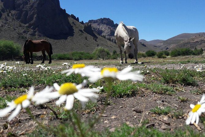 Bariloche Horseback Riding & Traditional Argentine Barbecue Tour - From Bariloche to an old working estancia