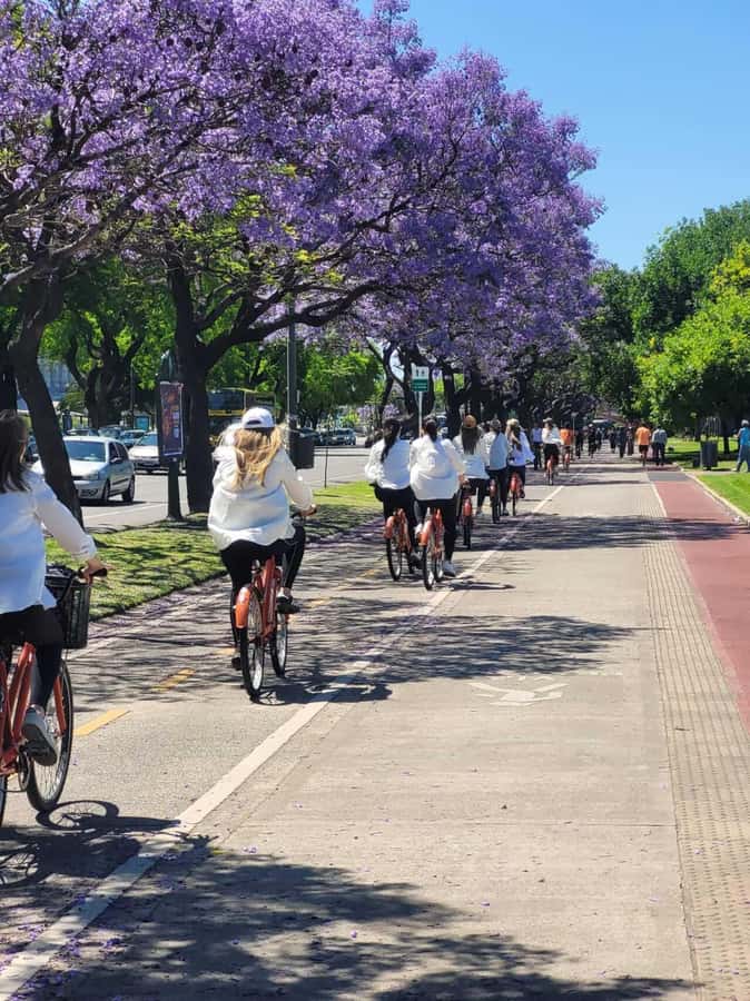 Bike Tour: Buenos Aires to the North - Fine arts and national culture along the route