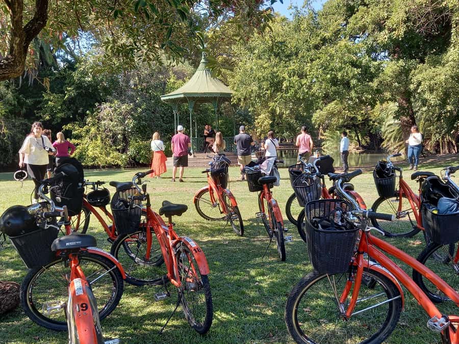 Bike Tour: Buenos Aires to the North - Palermo’s parks and the 20-minute Rosedal stop