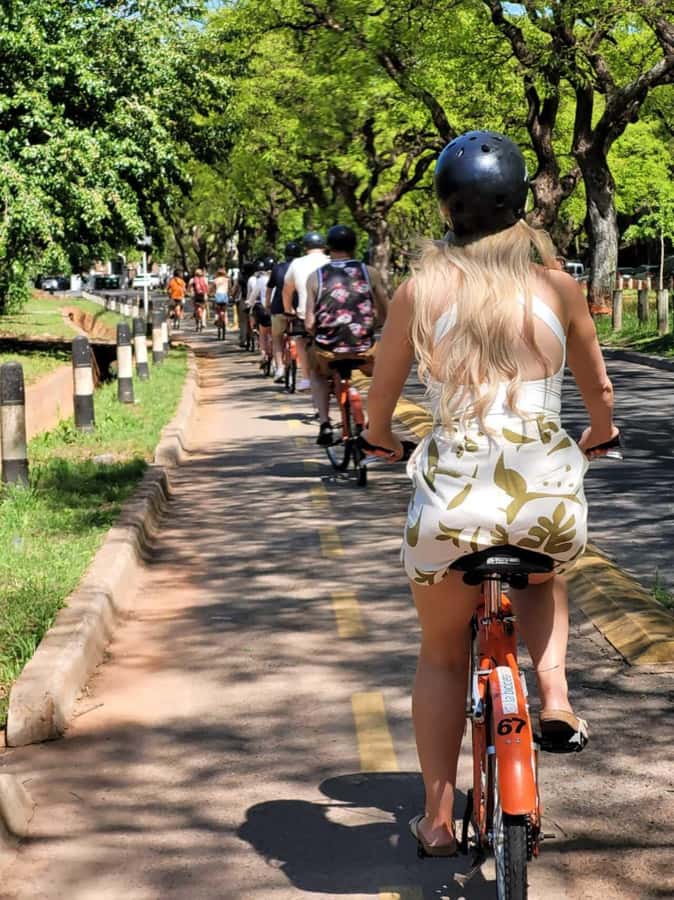 Bike Tour: Buenos Aires to the North - Plaza Francia and the elegance of Recoleta