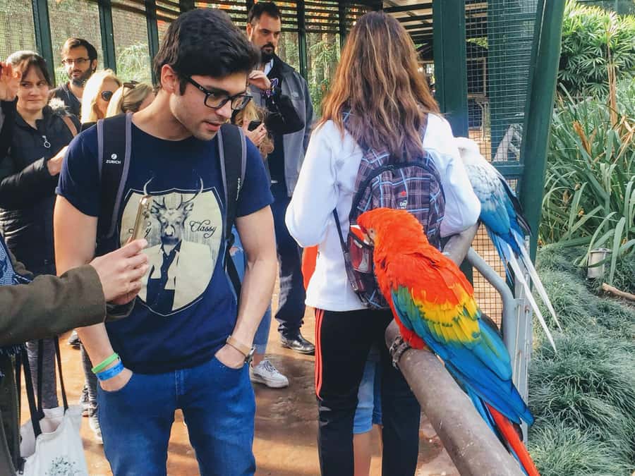 Buenos Aires: Bioparque Temaiken with Transfers - Key points at a glance