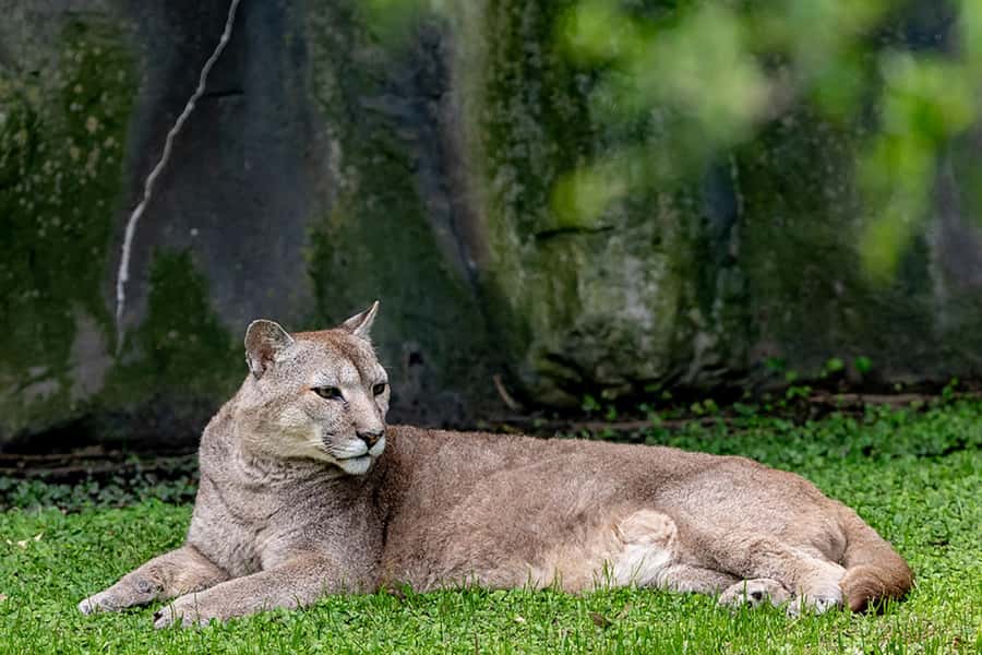 Buenos Aires: Bioparque Temaiken with Transfers - Patagonia in seven distinct settings