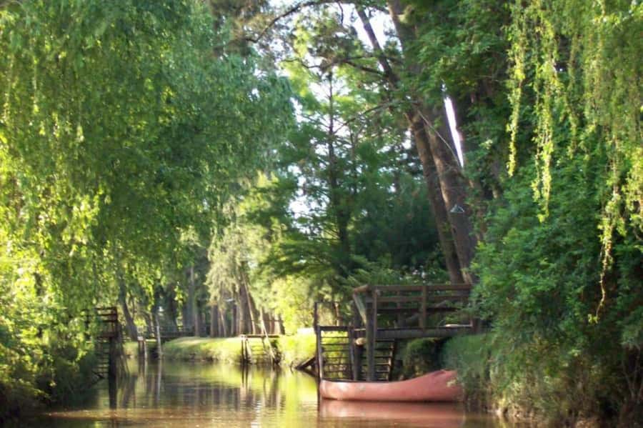 Buenos Aires: Classic Private Delta Tigre Boat Tour - What the private arrangement really gives you