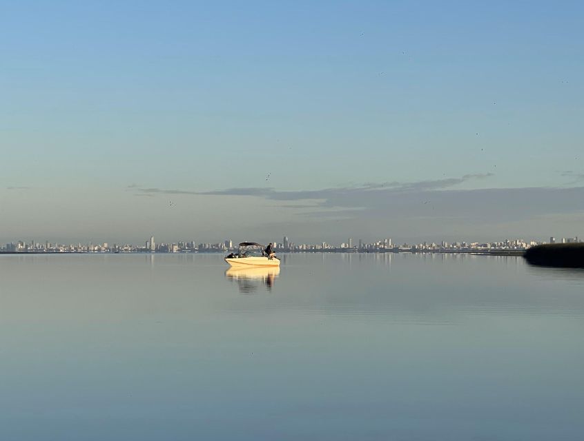 Buenos Aires: Private Delta Boat Tour with Barbecue onboard - Pickup, timing, and weather planning