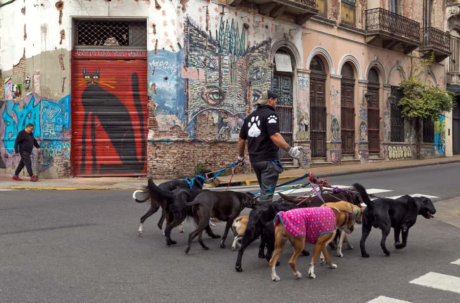 Buenos Aires: Private Photo Tour for Ammateur Photographers - Who will get the most from this tour?