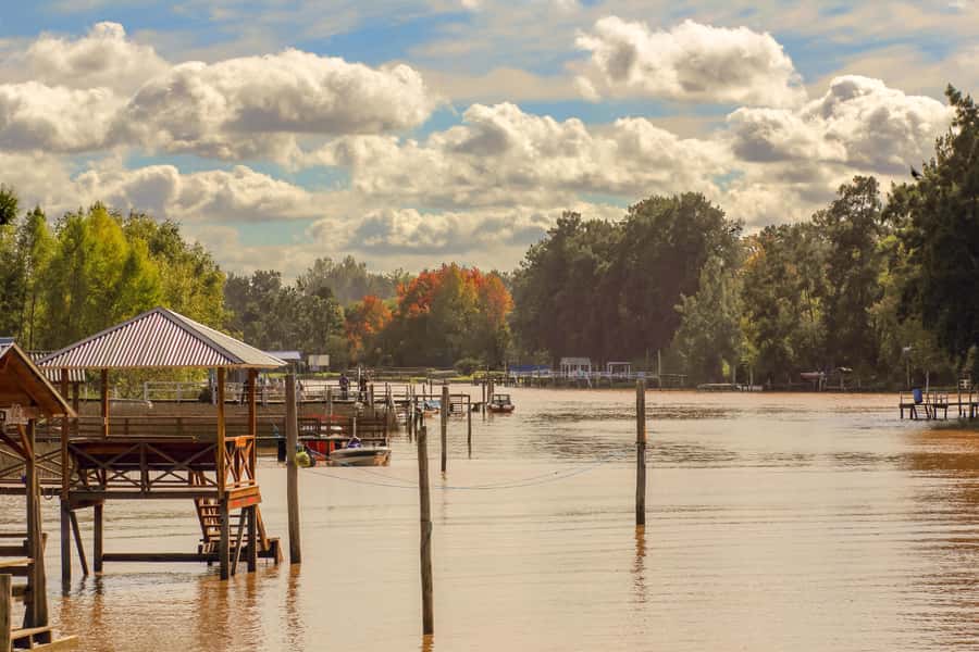 Buenos Aires: Puerto Madero to Tigre Round Trip Cruise - The return cruise at 4:00 p.m.
