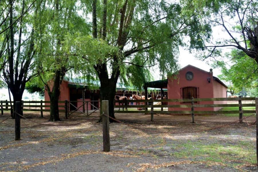 Buenos Aires: Santa Susana Ranch Day Tour, BBQ & Shows - Tango, folklore, and malambo with boleadoras