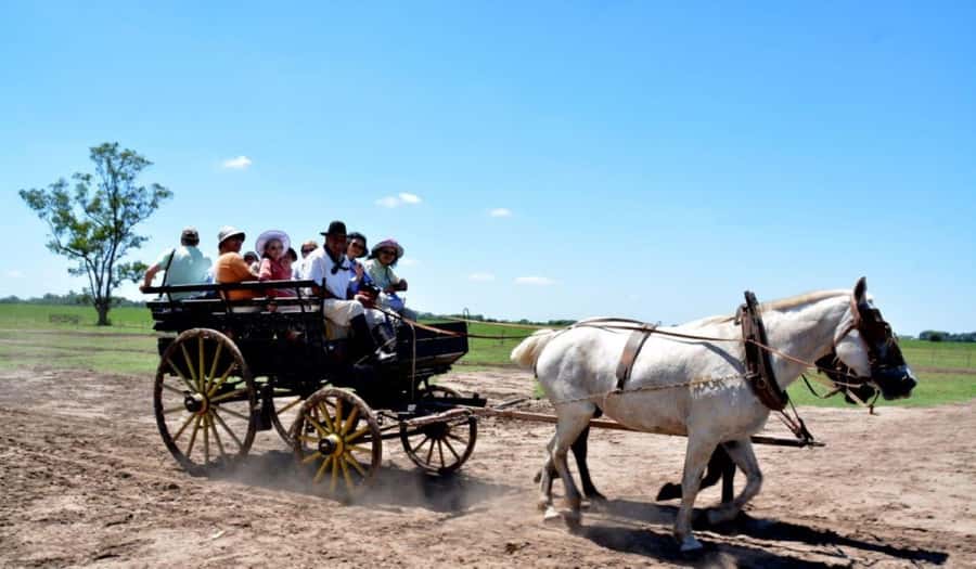 Buenos Aires: Santa Susana Ranch Day Tour, BBQ & Shows - Empanadas and wine at the pulpería