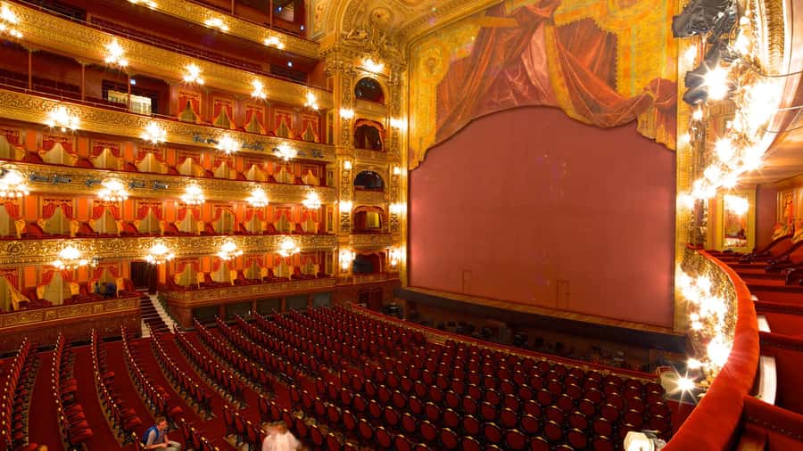 Buenos Aires: Teatro Colon Guided Tour - Why Teatro Colón deserves an hour