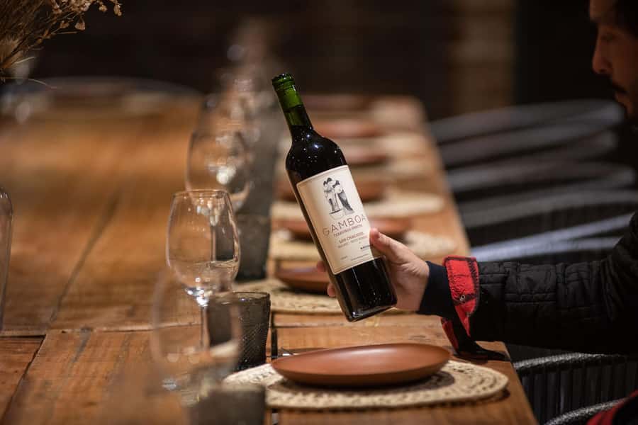 Buenos Aires: Wine Tasting and Lunch at Bodega Gamboa - Key points to know before booking