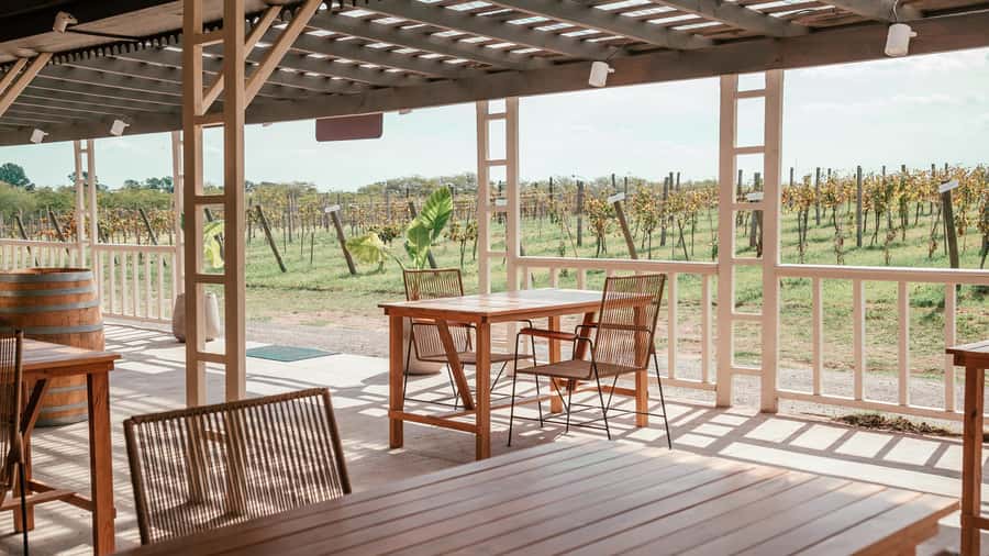 Buenos Aires: Wine Tasting and Lunch at Bodega Gamboa - What the wine tasting actually includes