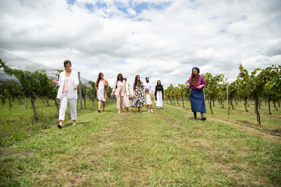 Buenos Aires: Wine Tasting and Lunch at Bodega Gamboa - A lunch that deserves time
