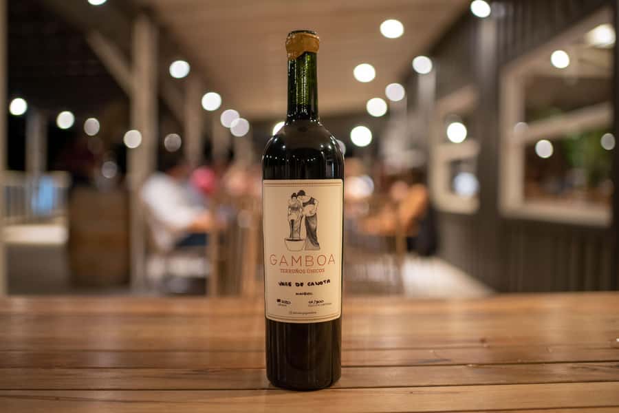 Buenos Aires: Wine Tasting and Lunch at Bodega Gamboa - How much walking and winery detail to expect