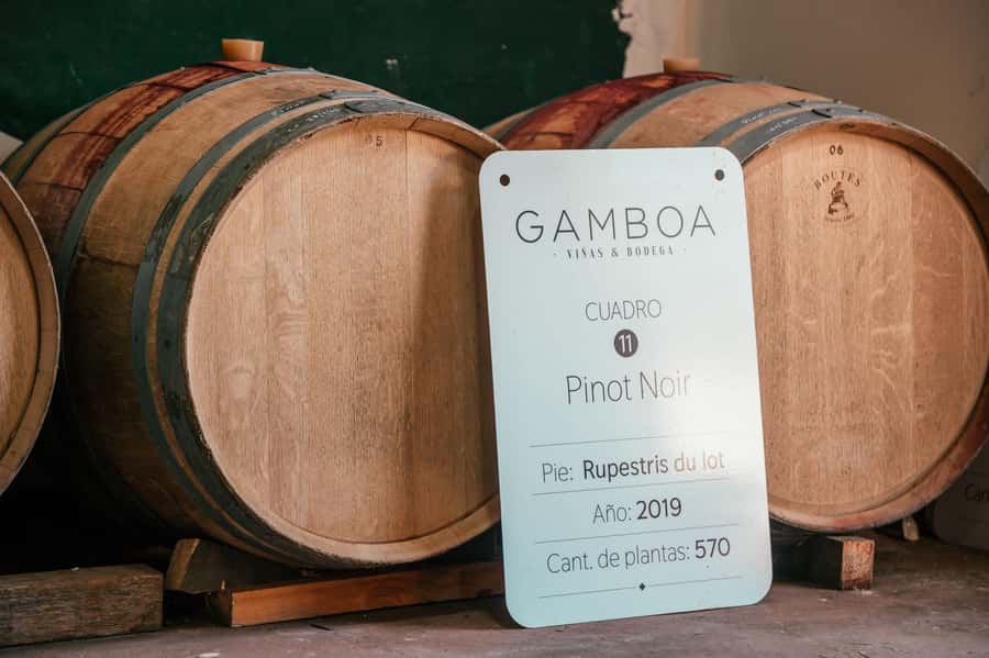 Buenos Aires: Wine Tasting and Lunch at Bodega Gamboa - The guides make a difference