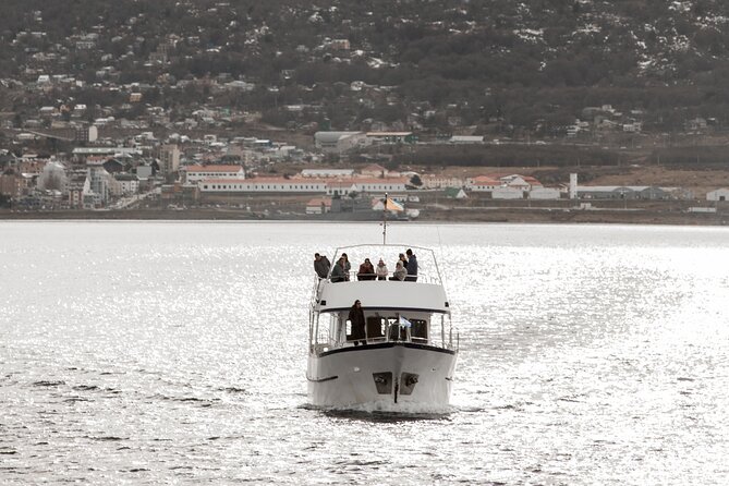 Catamaran Tour through the Beagle Channel and Penguins in Isla Martillo - Why the penguin stop is the heart of the trip