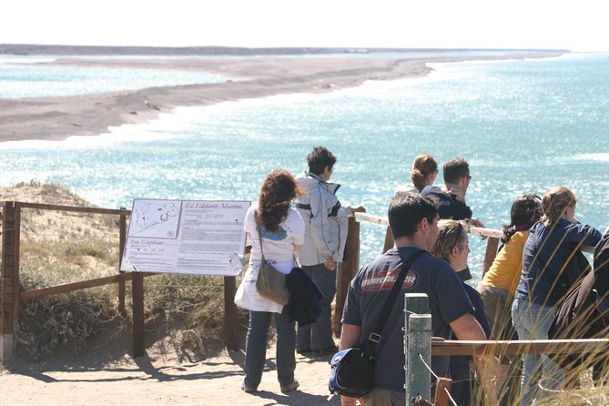 Cruise Shore Excursion Peninsula Valdes - Pto Madryn - Patagonia - Argentina - Caleta Valdes and the elephant seal colony