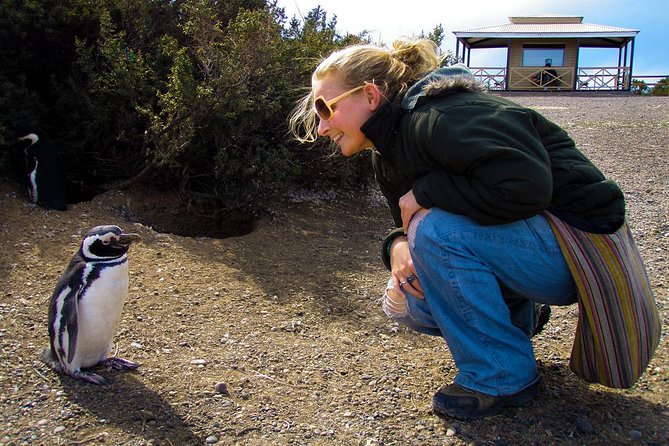 Cruise Shore Excursion Punta Tombo with Boxlunch from Pto Madryn - Why Punta Tombo is worth the long ride