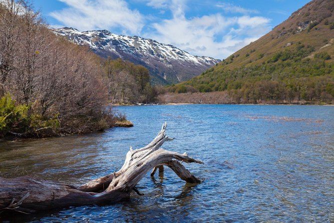 Discover Cerro Tronador with Ventisquero Negro Glacier - Why Cerro Tronador makes a worthwhile day trip