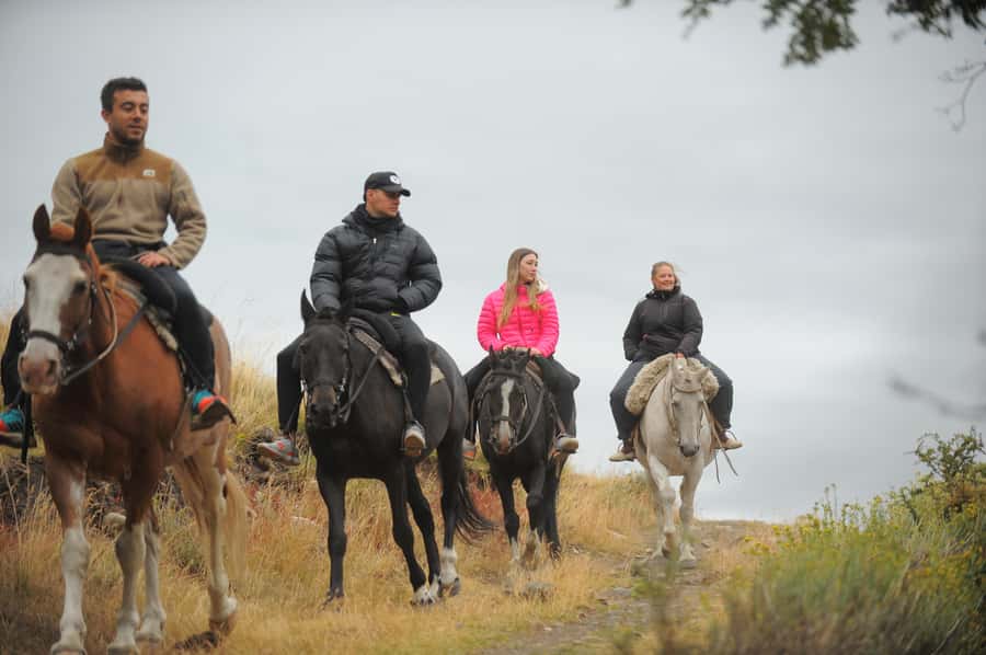 El Calafate: Horseback riding in Cerro Frias - Descending through the lenga forest