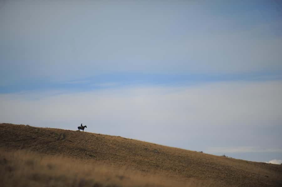 El Calafate: Horseback riding in Cerro Frias - FAQ