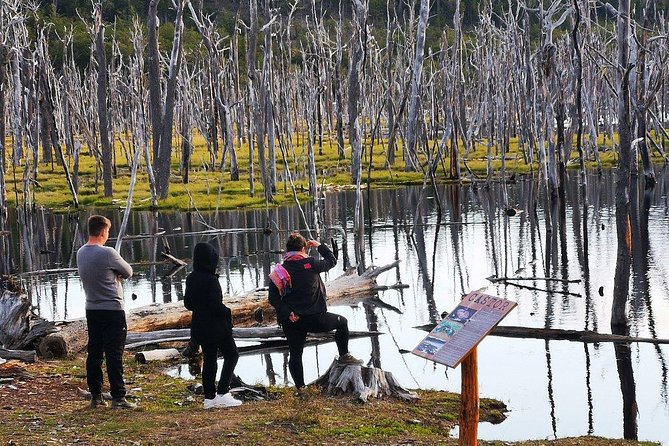 Escondido y Fagnano Lakes - Who should choose this excursion