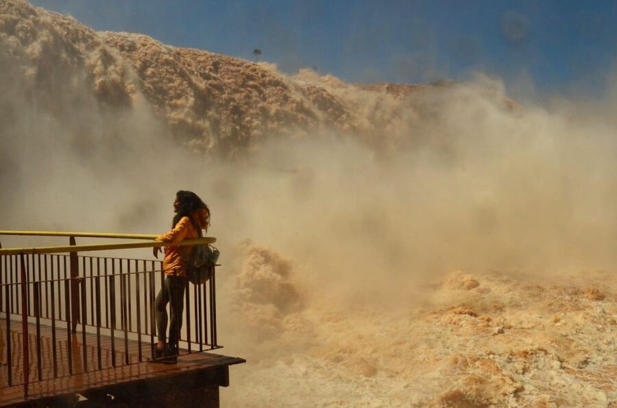 Foz do Iguaçu: Brazil/Argentina Sides Iguazu Falls Day Tour - Wildlife and park interpretation add value