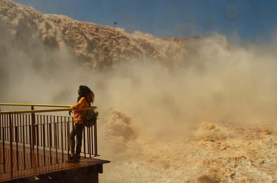 Foz do Iguaçu: Brazil/Argentina Sides Iguazu Falls Day Tour - What the $49 price really covers