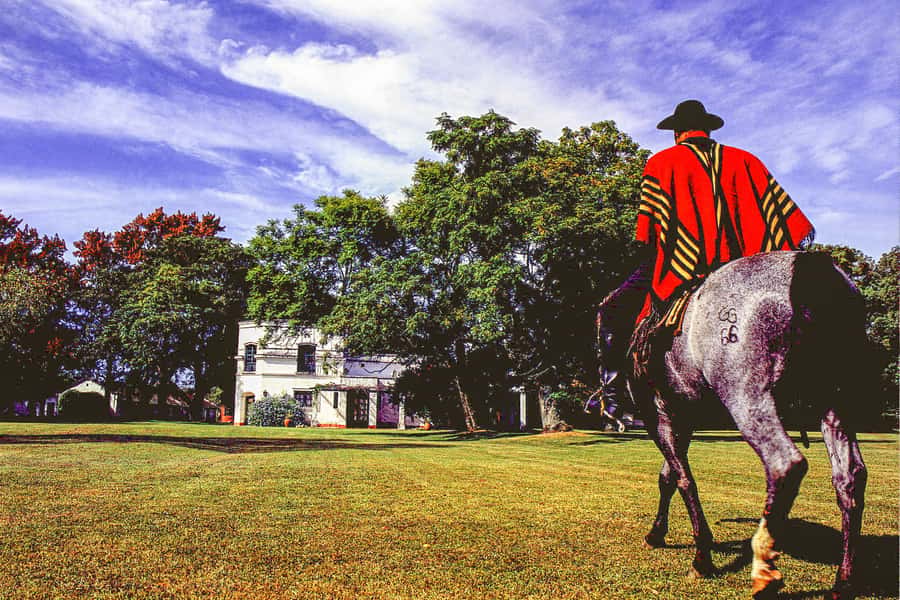 From Buenos Aires: Gaucho and Ranch Day Tour - Arriving at the estancia with empanadas and a choice of ride