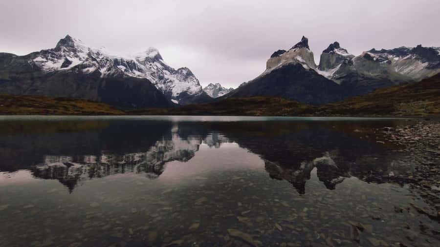 From El Calafate: Torres del Paine Full Day Tour - Río Paine Falls and the road toward Laguna Amarga