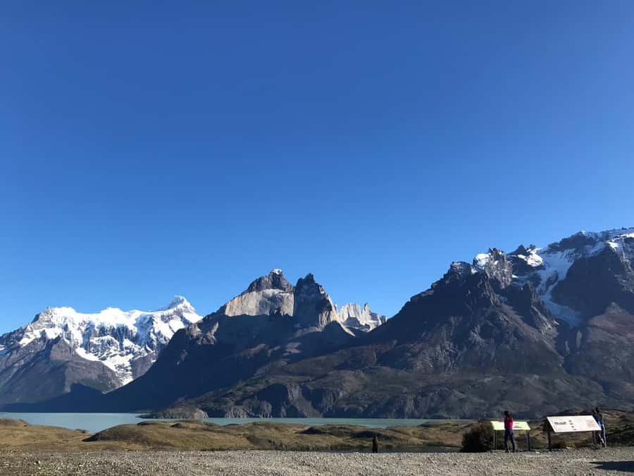 From El Calafate: Torres del Paine Full Day Tour - Lunch, comfort, and the practical details