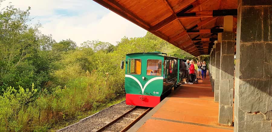 From Foz do Iguaçu: Argentinian Iguazu Falls with Boat Ride - Walking through the Argentine park