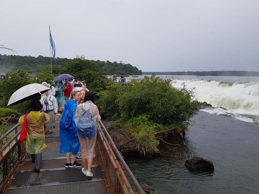 From Foz do Iguaçu: Iguazú Falls Boat Ride Argentina - Wildlife sightings add something extra