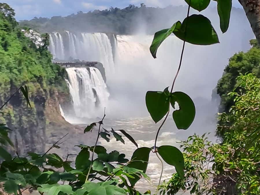 From Foz do Iguaçu: Tour to Argentinian Falls - Five hours inside the park, with room for photos
