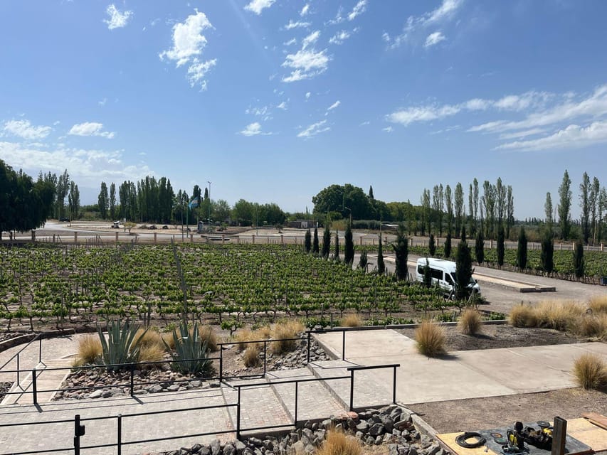 From Mendoza: 3 Wineries, Olive Oil Factory Tour & Tasting - The artisanal side of Mendoza wine