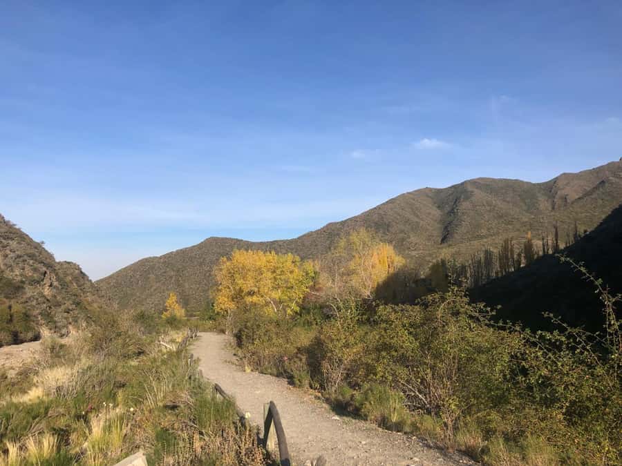 From Mendoza: Andes High Mountain Full-Day Tour - Potrerillos Dam and the blue water below