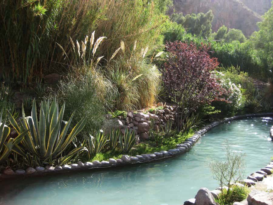 From Mendoza: Premium Spa Day at the Cacheuta Hot Springs - Who will enjoy this day most?