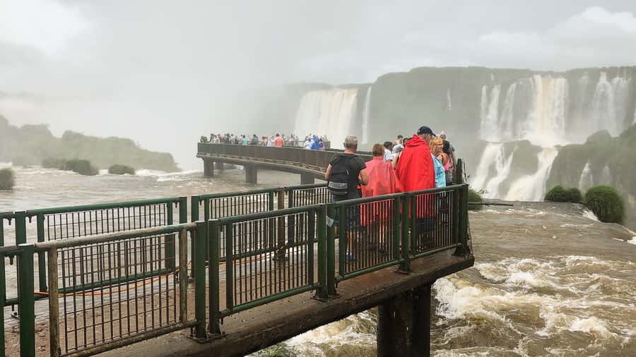 From Puerto Iguazu: Half-Day Brazilian Falls Excursion - Jungle paths, wildlife, and the pace of the visit