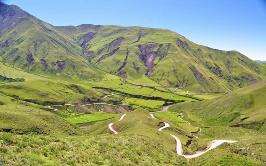 From Salta: Cachi and Los Cardones National Park Tour - What to bring and how to make the ride better
