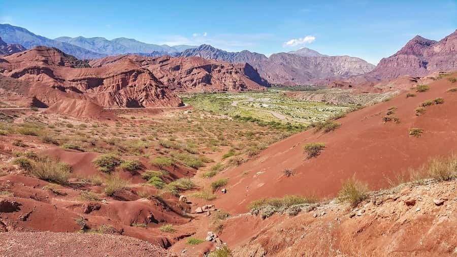 From Salta: Cafayate Day Trip with Wine Tasting - Is $40 good value?