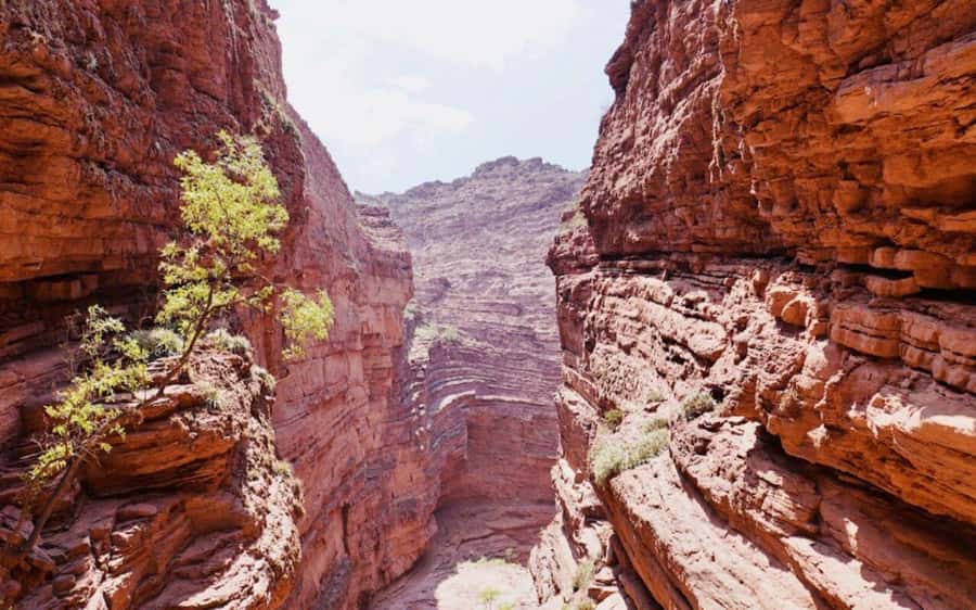 From Salta: Cafayate, land of wines and imposing ravines - Should you book the Cafayate day trip?