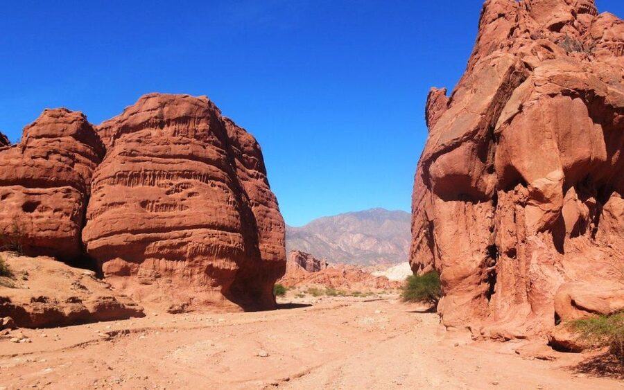 From Salta: Cafayate, land of wines and imposing ravines - Who will enjoy this trip most